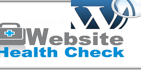 Free Website Health Audit
